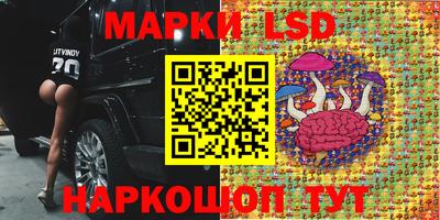 прущие крисы Дубна