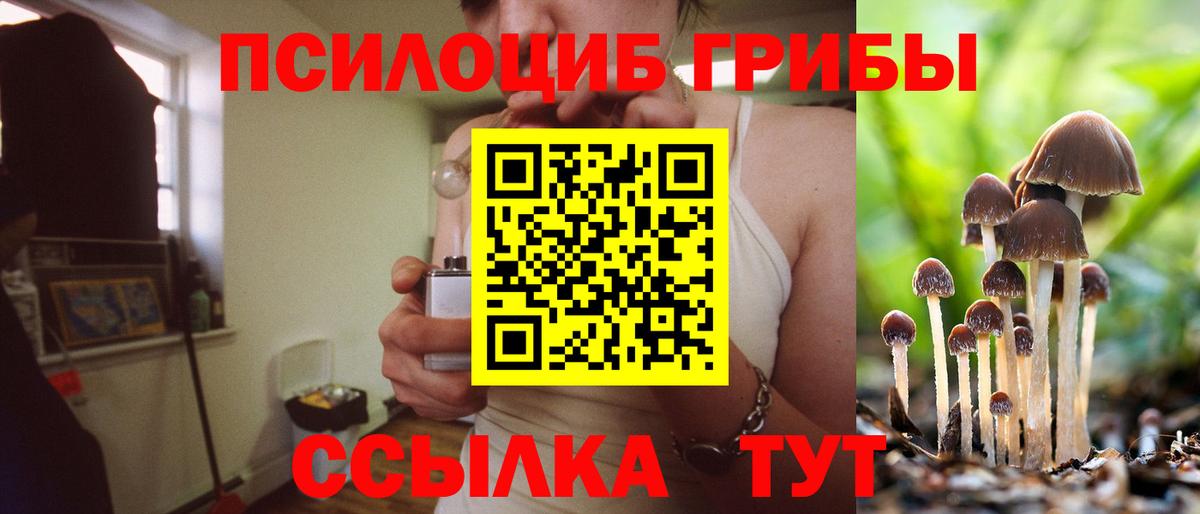 Ликино-Дулёво  Псилоцибиновые грибы Psilocybe  Вход с VPN  Галлюциногенные грибы мухоморы 